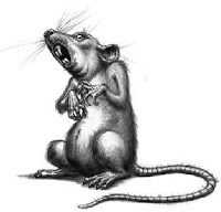 tikus koruptor